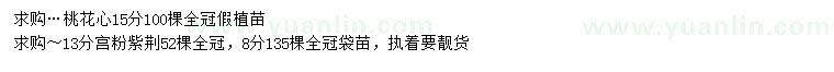 求購15公分桃花心、8、13公分宮粉紫荊