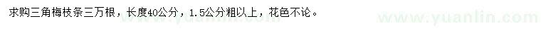 求購40公分三角梅