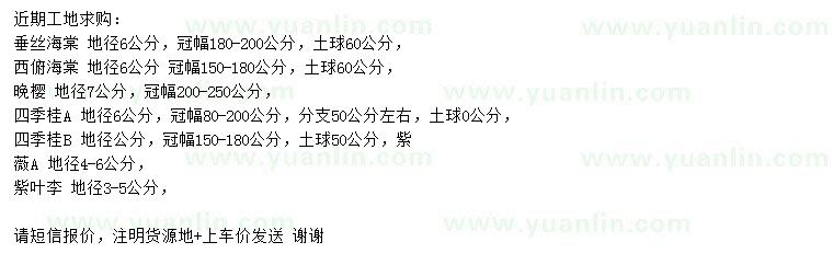 求購垂絲海棠、西府海棠、晚櫻等