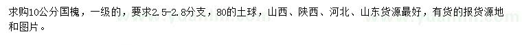 求購10公分國槐
