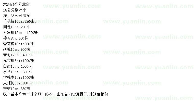 求購北欒、紫葉李、法桐等