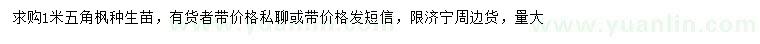 求購1米五角楓