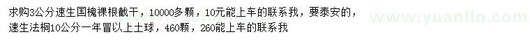求購3公分速生國槐、10公分速生法桐