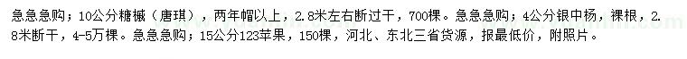 求購(gòu)糖槭、銀中楊、123蘋(píng)果苗