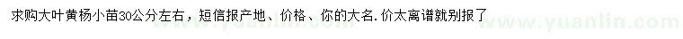 求購30公分大葉黃楊