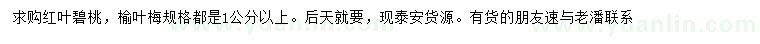 求購1公分以上紅葉碧桃、榆葉梅