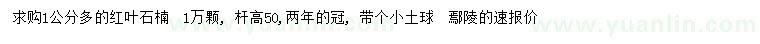求購1公分紅葉石楠