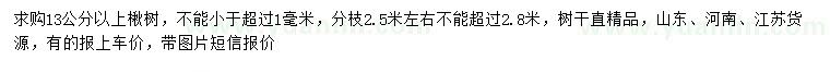 求購13公分以上楸樹