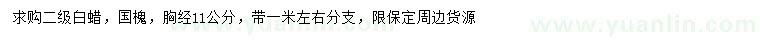 求購胸徑11公分白蠟、國槐