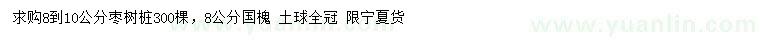 求購8-10公分棗樹