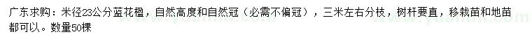 求購(gòu)米徑23公分藍(lán)花楹