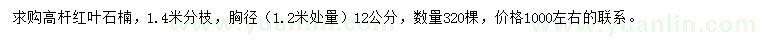 求購胸徑12公分高桿紅葉石楠