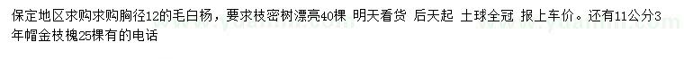 求購胸徑12公分毛白楊、11公分金枝槐