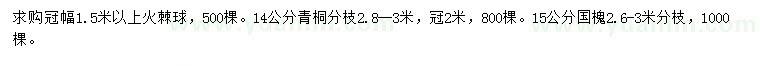 求購火棘球、青桐、國槐