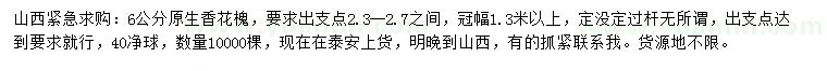 求購6公分香花槐