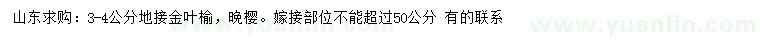 求購3-4公分地接金葉榆、晚櫻