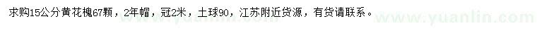 求購15公分黃花槐