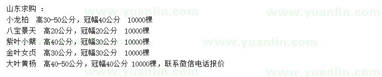 求購小龍柏、八寶景天、紫葉小檗等