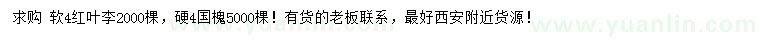 求購4公分紅葉李、國槐