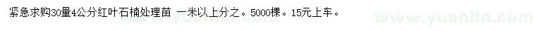求購30量4公分紅葉石楠