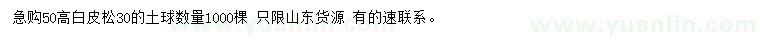 求購高50公分白皮松