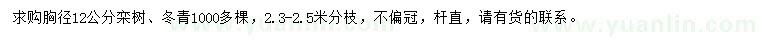 求購(gòu)胸徑12公分欒樹(shù)、冬青