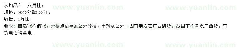 求購30公分量5公分八月桂