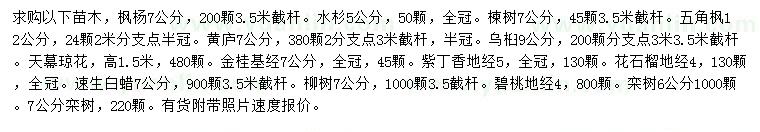 求購楓楊、水杉、楝樹等