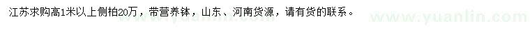 求購高1米以上側(cè)柏