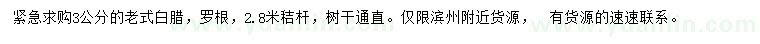 求購3公分老式白臘