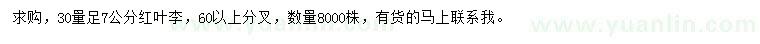 求購(gòu)30量足7公分紅葉李