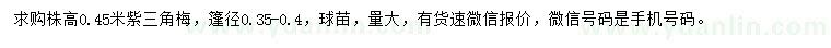 求購株高0.45米紫花三角梅