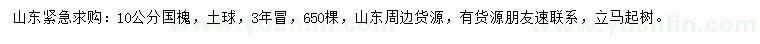 求購10公分國槐