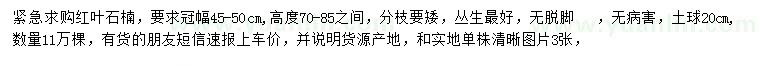求購冠幅45-50公分紅葉石楠
