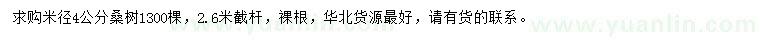 求購米徑4公分桑樹