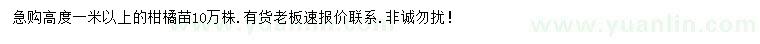 求購(gòu)高1米以上柑橘苗