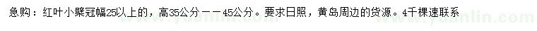 求購高35-45公分紅葉小檗