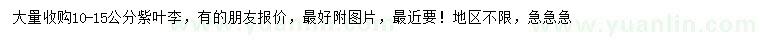 求購(gòu)10-15公分紫葉李