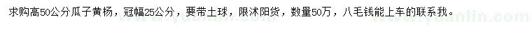 求購(gòu)高50公分瓜子黃楊