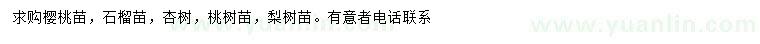 求購櫻桃苗、石榴苗、杏樹等