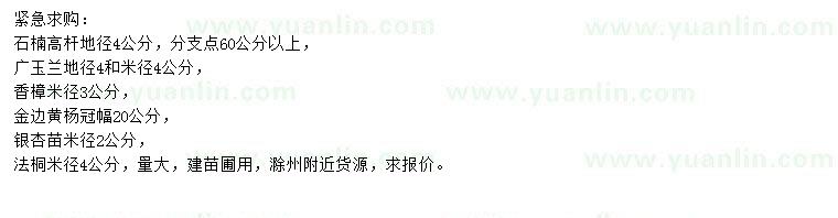 求購石楠、廣玉蘭、香樟等