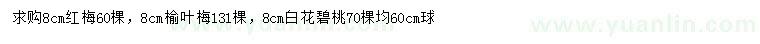 求購紅梅、榆葉梅、白花碧桃