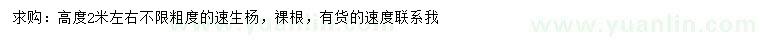 求購(gòu)高2米速生楊