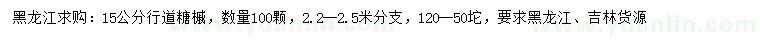 求購15公分糖槭