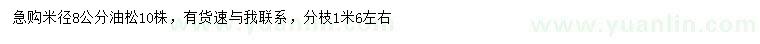 求購米徑8公分油松