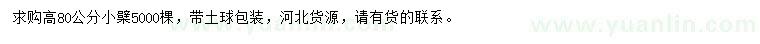 求購(gòu)高80公分小檗