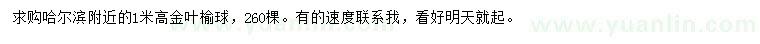 求購高1米金葉榆球