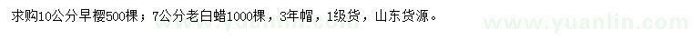 求購10公分早櫻、7公分老白蠟