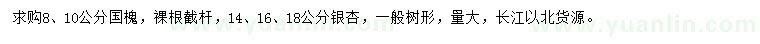 求購8、10公分國槐、14、16、18公分銀杏