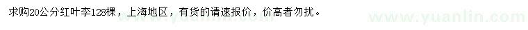 求購20公分紅葉李